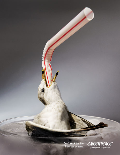 Êtes-vous vraiment sensible au bien-être animal ? Ou la publicité et le marketing traquent les lobbies de déchets ?