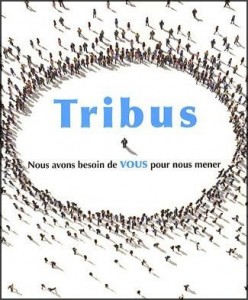 Tribus