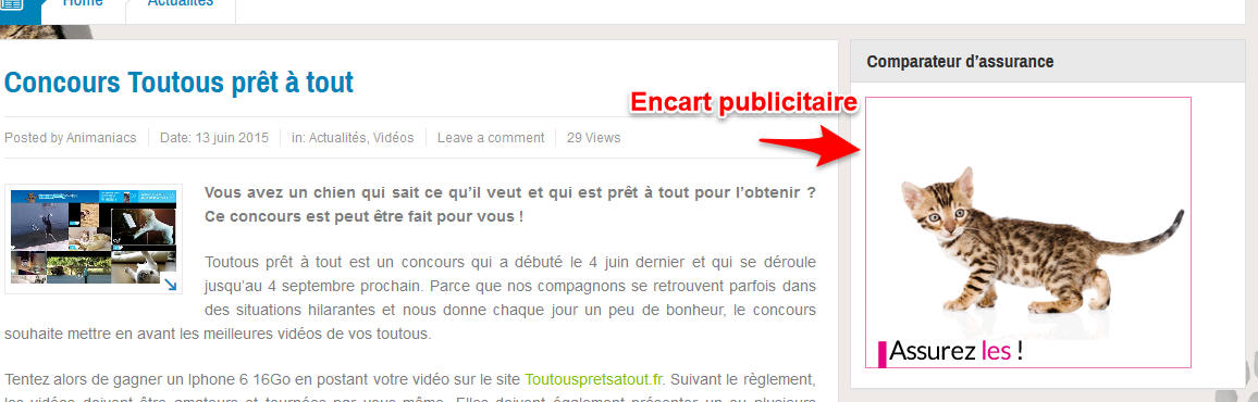 Comment mener une campagne de relation blogueurs Encart publicitaire sur un blog animalier
